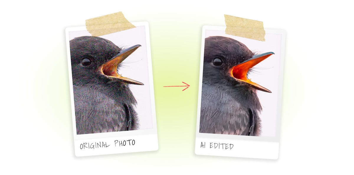 A comparison of an original photo of a bird, degraded with lots of noise speckles, and a modified version edited with AI software to remove that noise