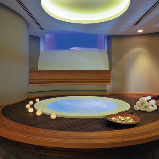 Jacuzzi Alimia Pro Mini Pool