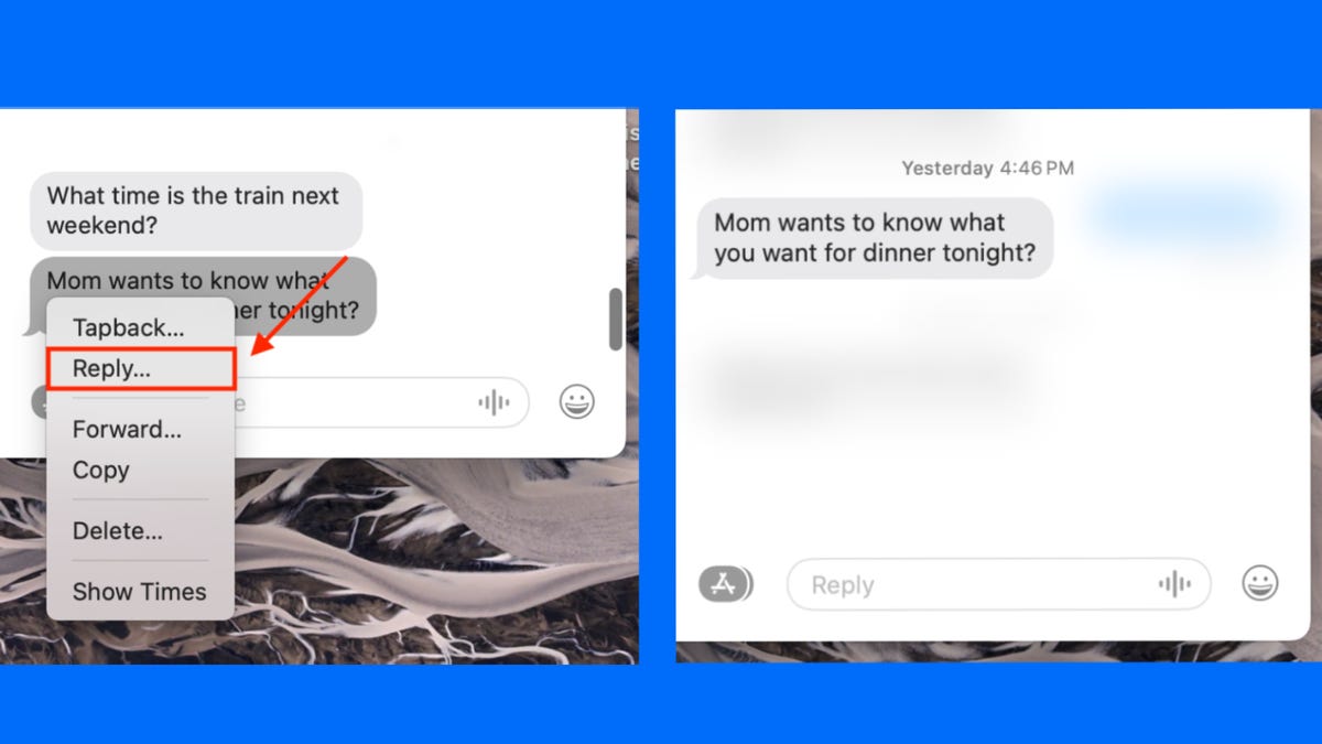 screen shot of Mac OS Sonoma's reply function in the messages app